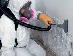 Best Asbestos and Lead Testing During Mold Inspection  in Mount Healthy Heights, OH